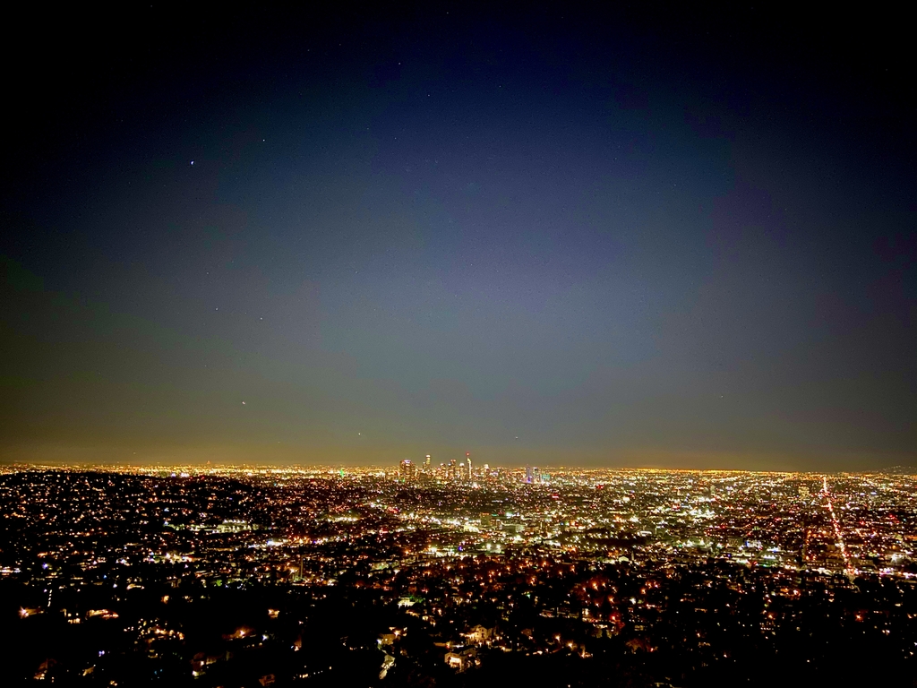 Lavish Los Angeles. MemExp Blog. Rohan Goel