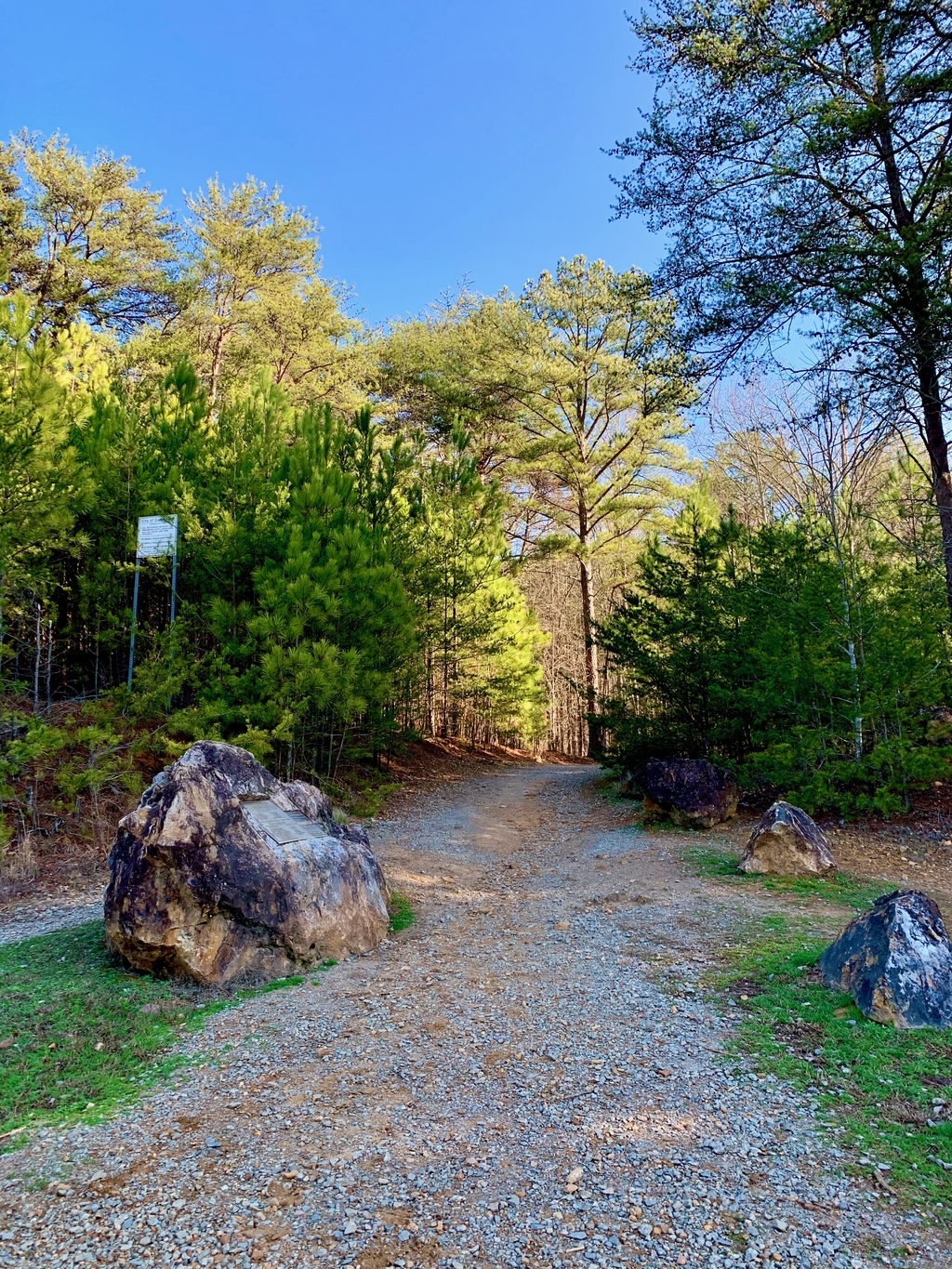 Pine Mountain Hike. MemExp Blog. Rohan Goel