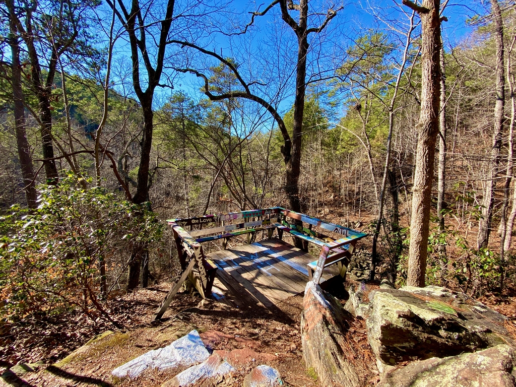 Pine Mountain Hike. MemExp Blog. Rohan Goel