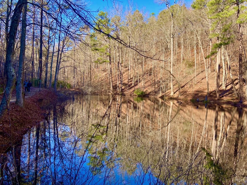 Pine Mountain Hike. MemExp Blog. Rohan Goel