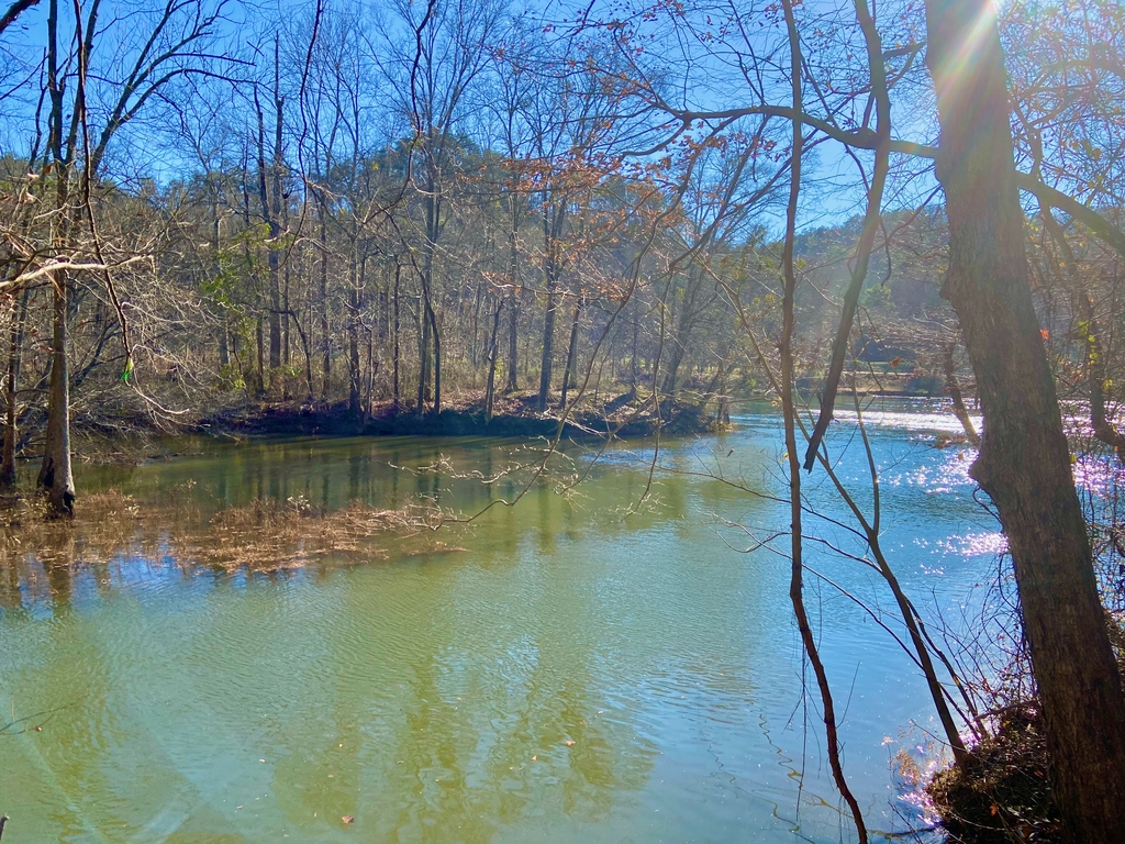 Pine Mountain Hike. MemExp Blog. Rohan Goel