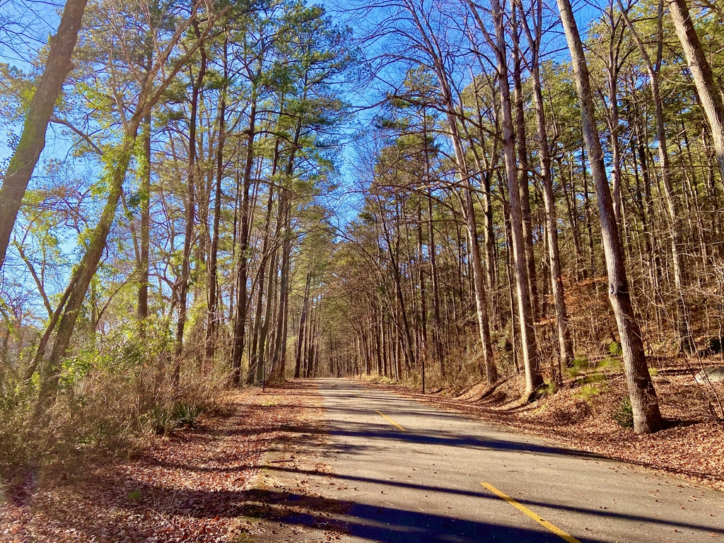 Pine Mountain Hike. MemExp Blog. Rohan Goel