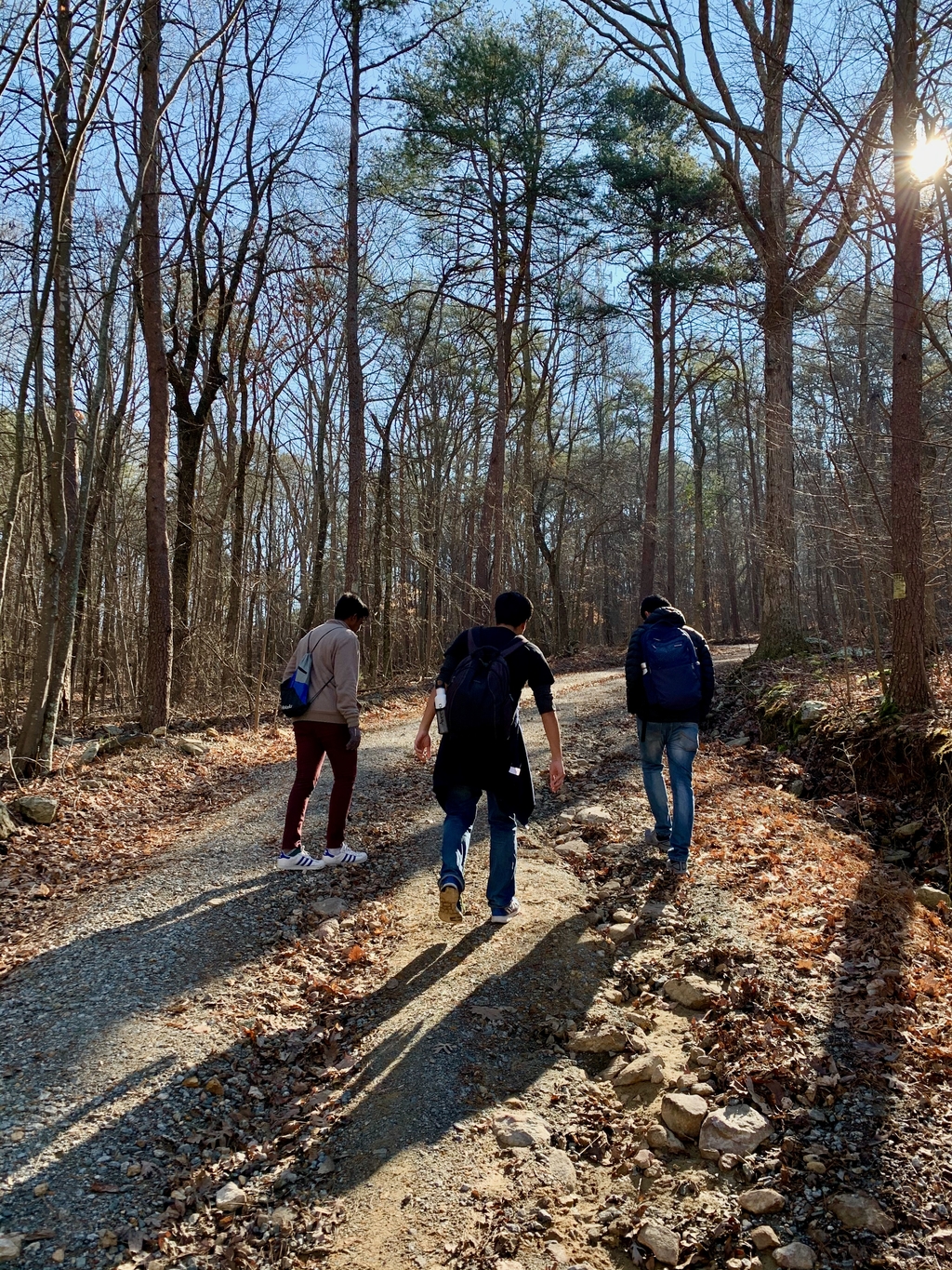 Pine Mountain Hike. MemExp Blog. Rohan Goel