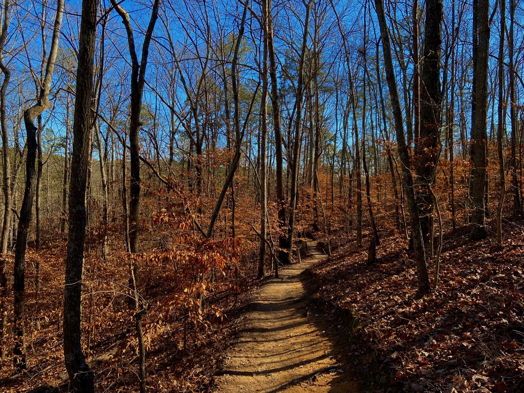 Pine Mountain Hike. MemExp Blog. Rohan Goel