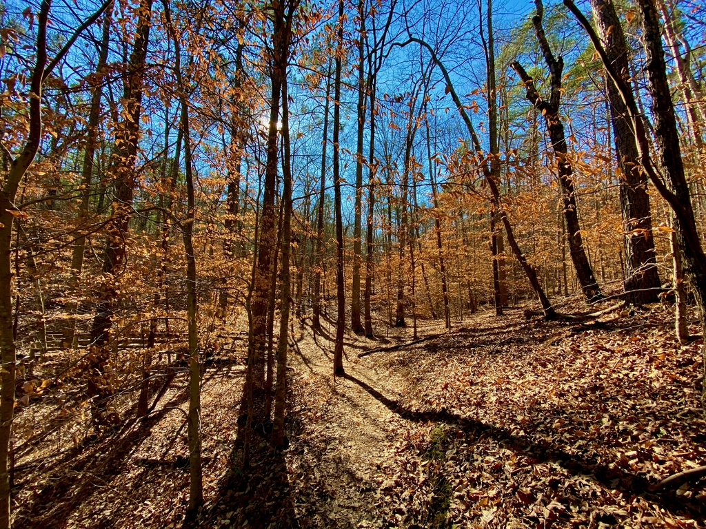 =Pine Mountain Hike. MemExp Blog. Rohan Goel