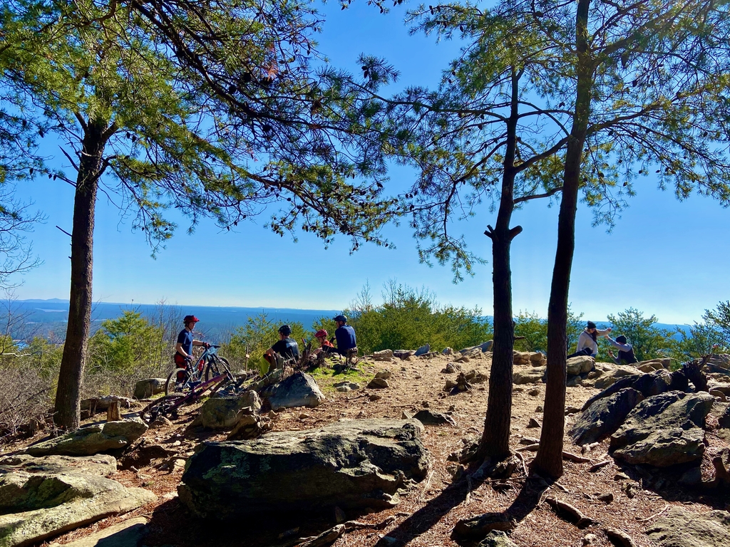 Pine Mountain Hike. MemExp Blog. Rohan Goel