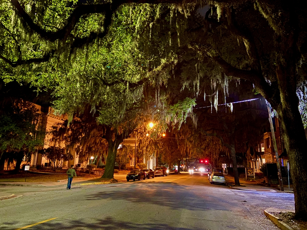 Haunted Savannah. MemExp Blog. Rohan Goel