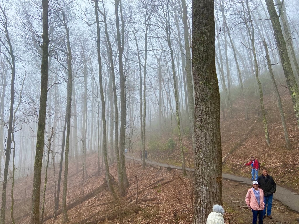 Great Smoky Mountains. MemExp Blog. Rohan Goel