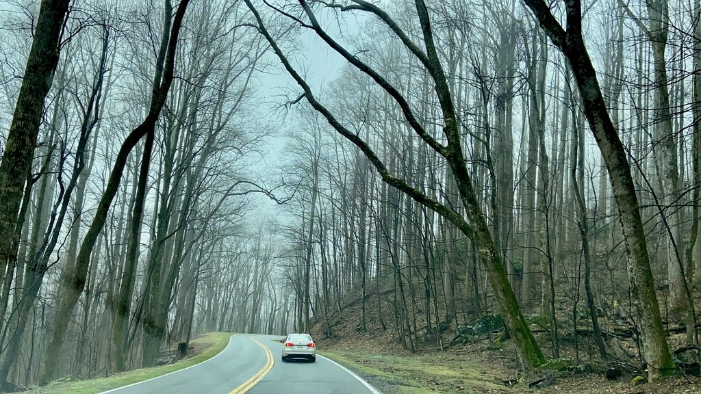 Great Smoky Mountains. MemExp Blog. Rohan Goel