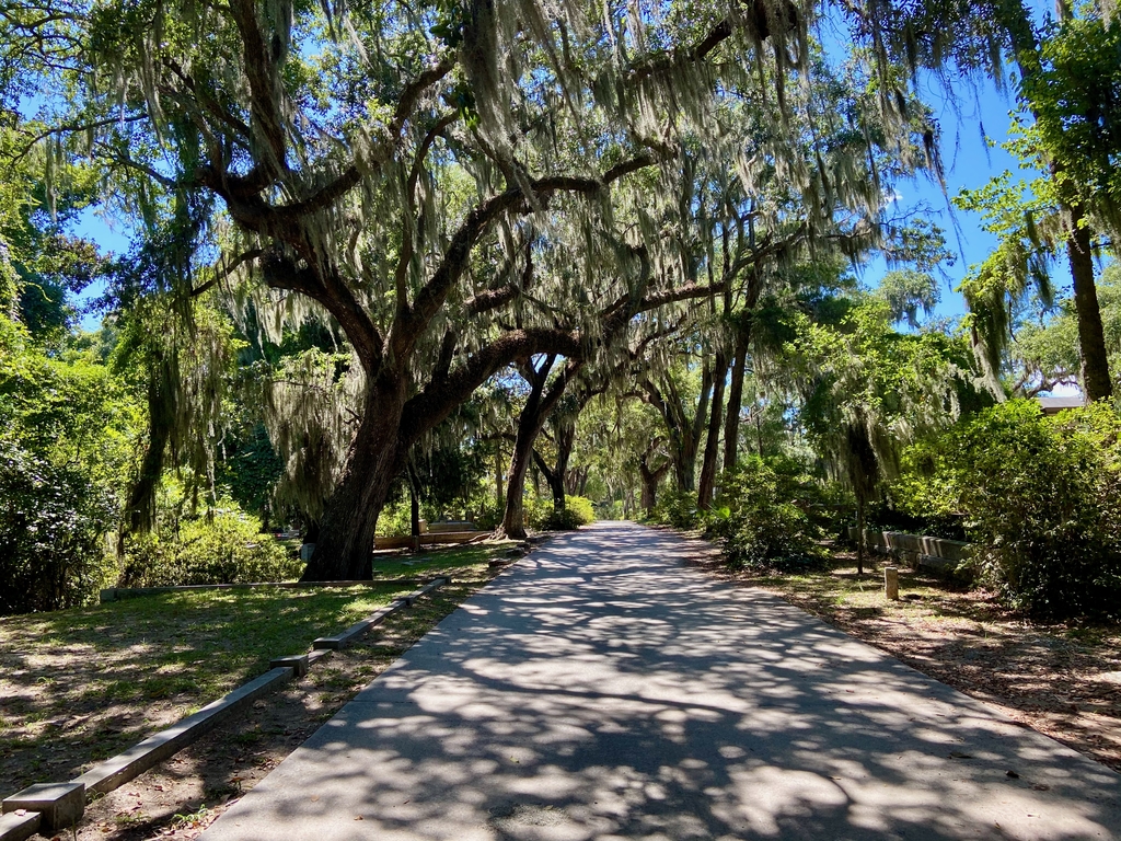 Hilton Head Island. MemExp Blog. Rohan Goel