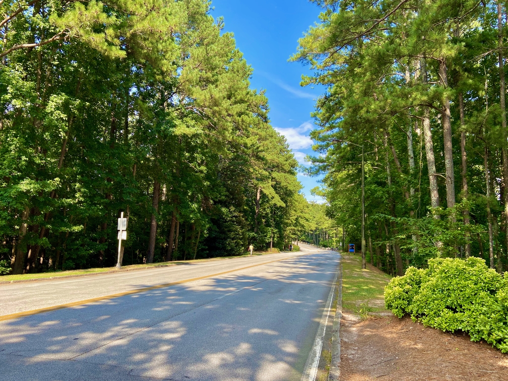 Stone Mountain Hike. MemExp Blog. Rohan Goel