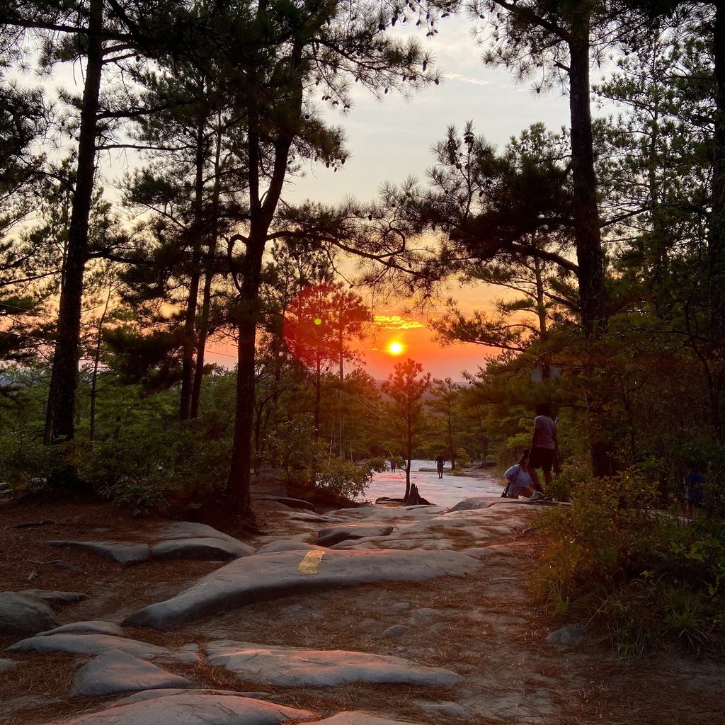 Stone Mountain Hike. MemExp Blog. Rohan Goel