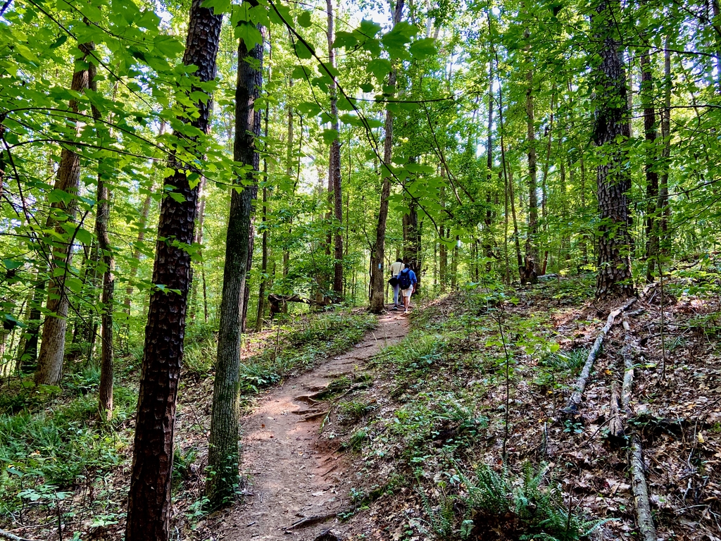 Stone Mountain Hike. MemExp Blog. Rohan Goel