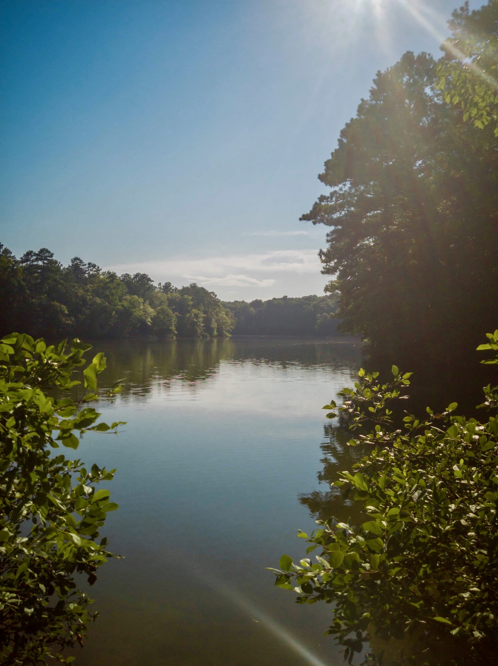 Stone Mountain Hike. MemExp Blog. Rohan Goel