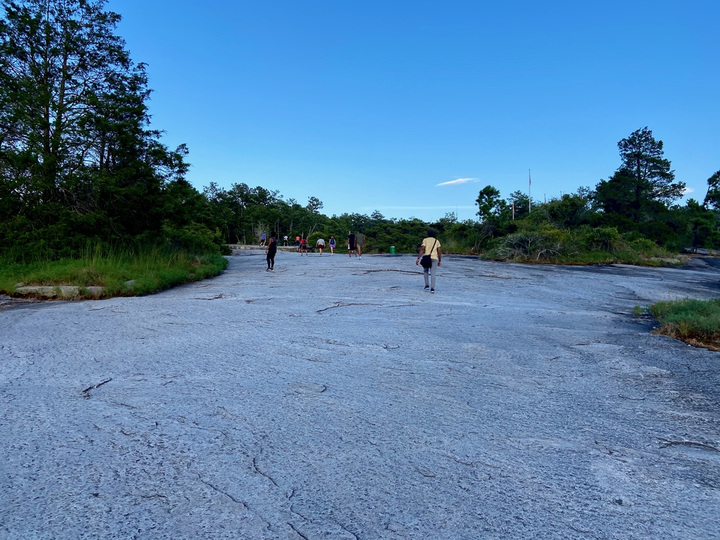 Stone Mountain Hike. MemExp Blog. Rohan Goel