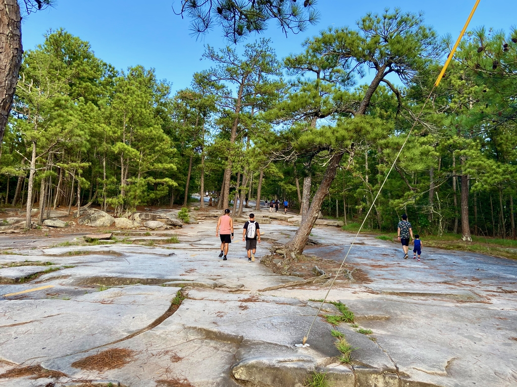 Stone Mountain Hike. MemExp Blog. Rohan Goel