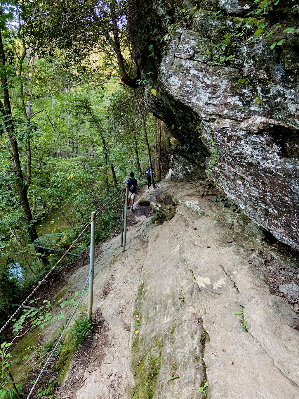 Laborious Panther Creek. MemExp Blog. Rohan Goel