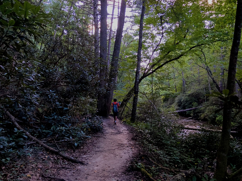 Laborious Panther Creek. MemExp Blog. Rohan Goel