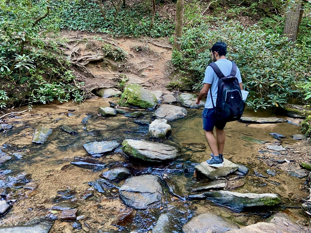 Laborious Panther Creek. MemExp Blog. Rohan Goel