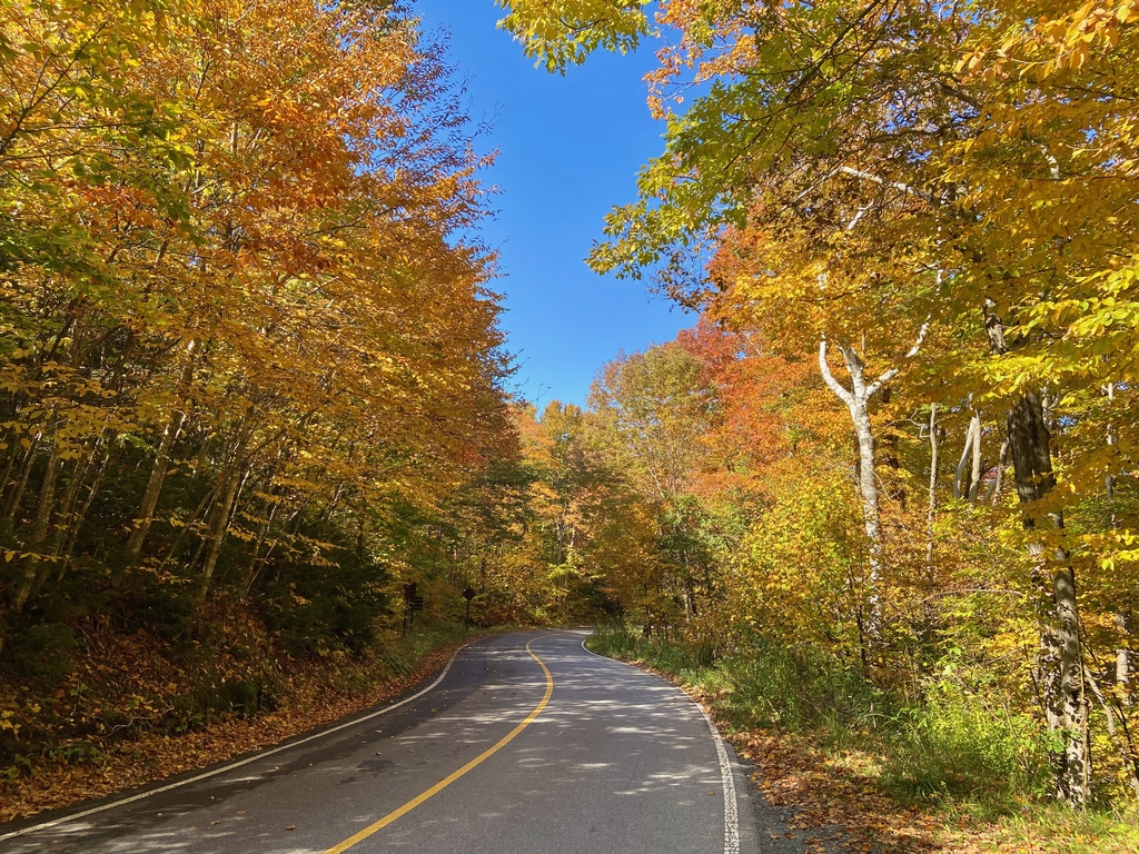 Mt. Greylock & The Berkshires. MemExp Blog. Rohan Goel