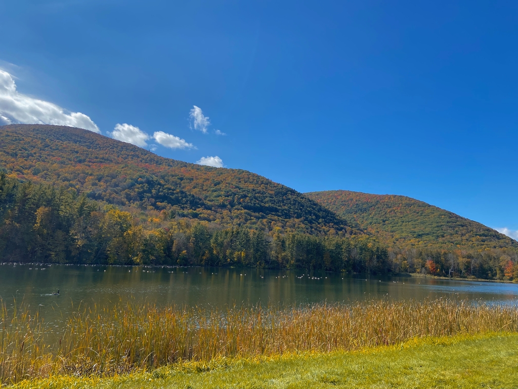 Mt. Greylock & The Berkshires. MemExp Blog. Rohan Goel