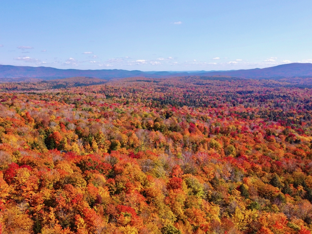 Vibrant Vermont. MemExp Blog. Rohan Goel