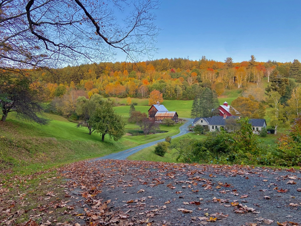 Vibrant Vermont. MemExp Blog. Rohan Goel