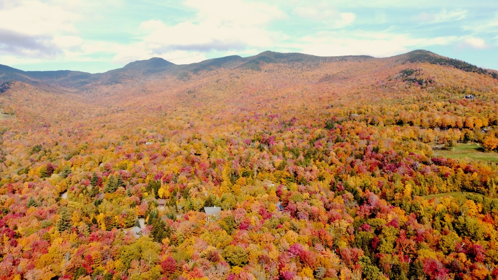 Vibrant Vermont. MemExp Blog. Rohan Goel