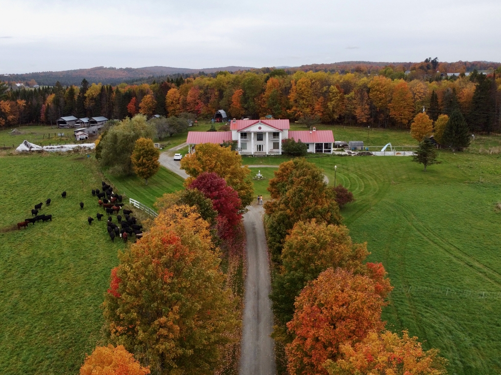 Vibrant Vermont. MemExp Blog. Rohan Goel