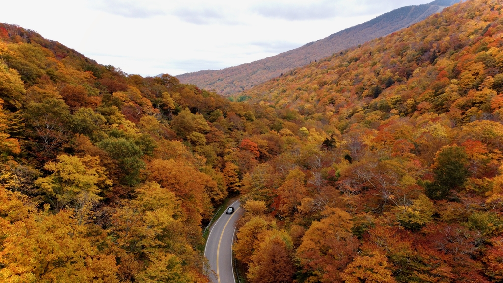 Vibrant Vermont. MemExp Blog. Rohan Goel