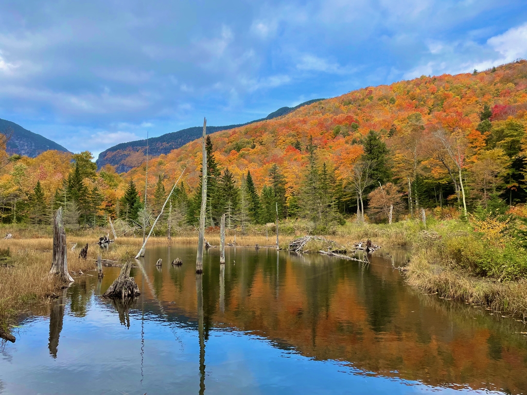 Vibrant Vermont. MemExp Blog. Rohan Goel