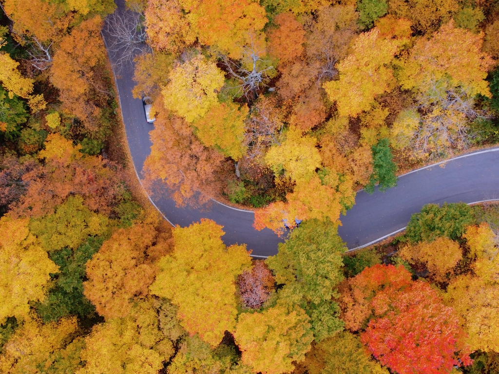 Vibrant Vermont. MemExp Blog. Rohan Goel