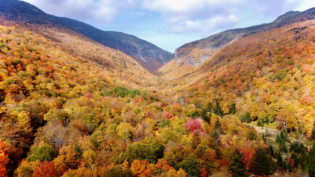 Vibrant Vermont. MemExp Blog. Rohan Goel