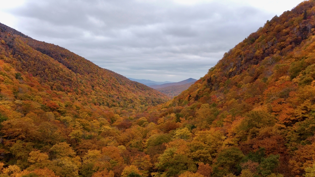 Vibrant Vermont. MemExp Blog. Rohan Goel