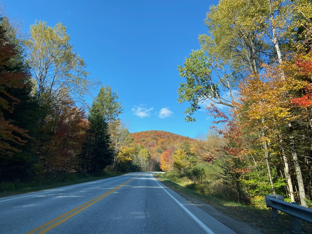 Vibrant Vermont. MemExp Blog. Rohan Goel