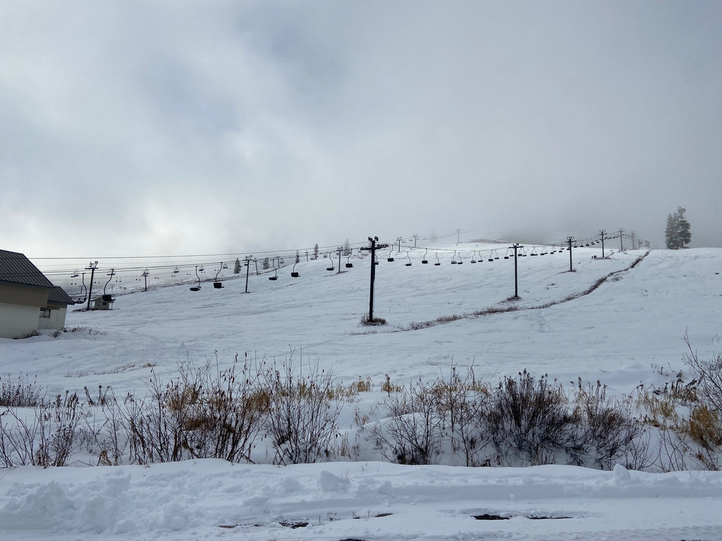 Icy Icicle Ridge. MemExp Blog. Rohan Goel