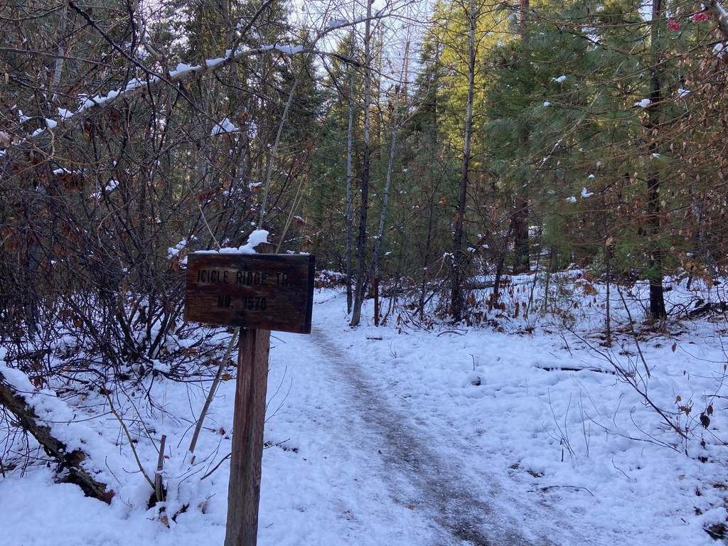 =Icy Icicle Ridge. MemExp Blog. Rohan Goel