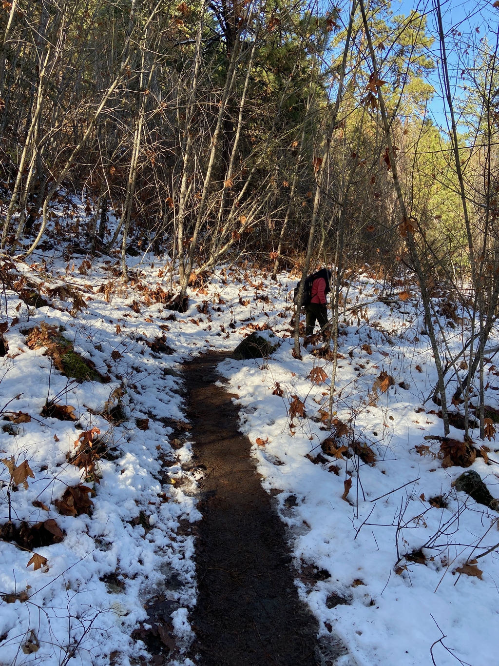 =Icy Icicle Ridge. MemExp Blog. Rohan Goel