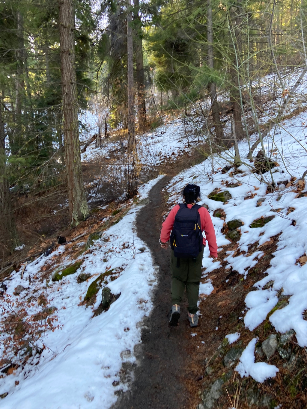 =Icy Icicle Ridge. MemExp Blog. Rohan Goel