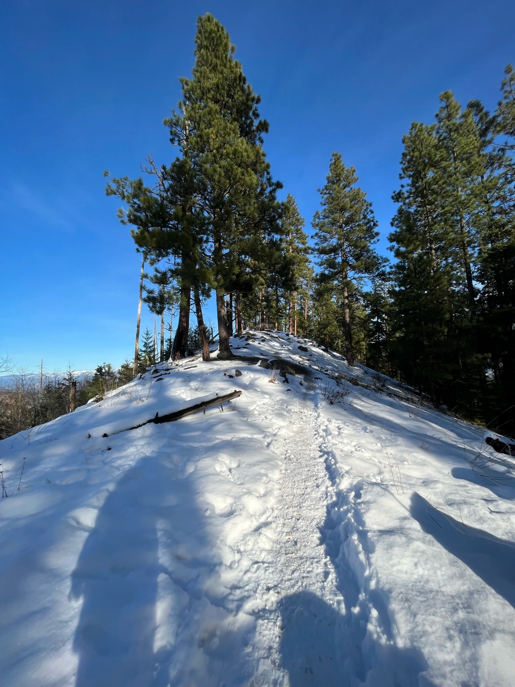 =Icy Icicle Ridge. MemExp Blog. Rohan Goel