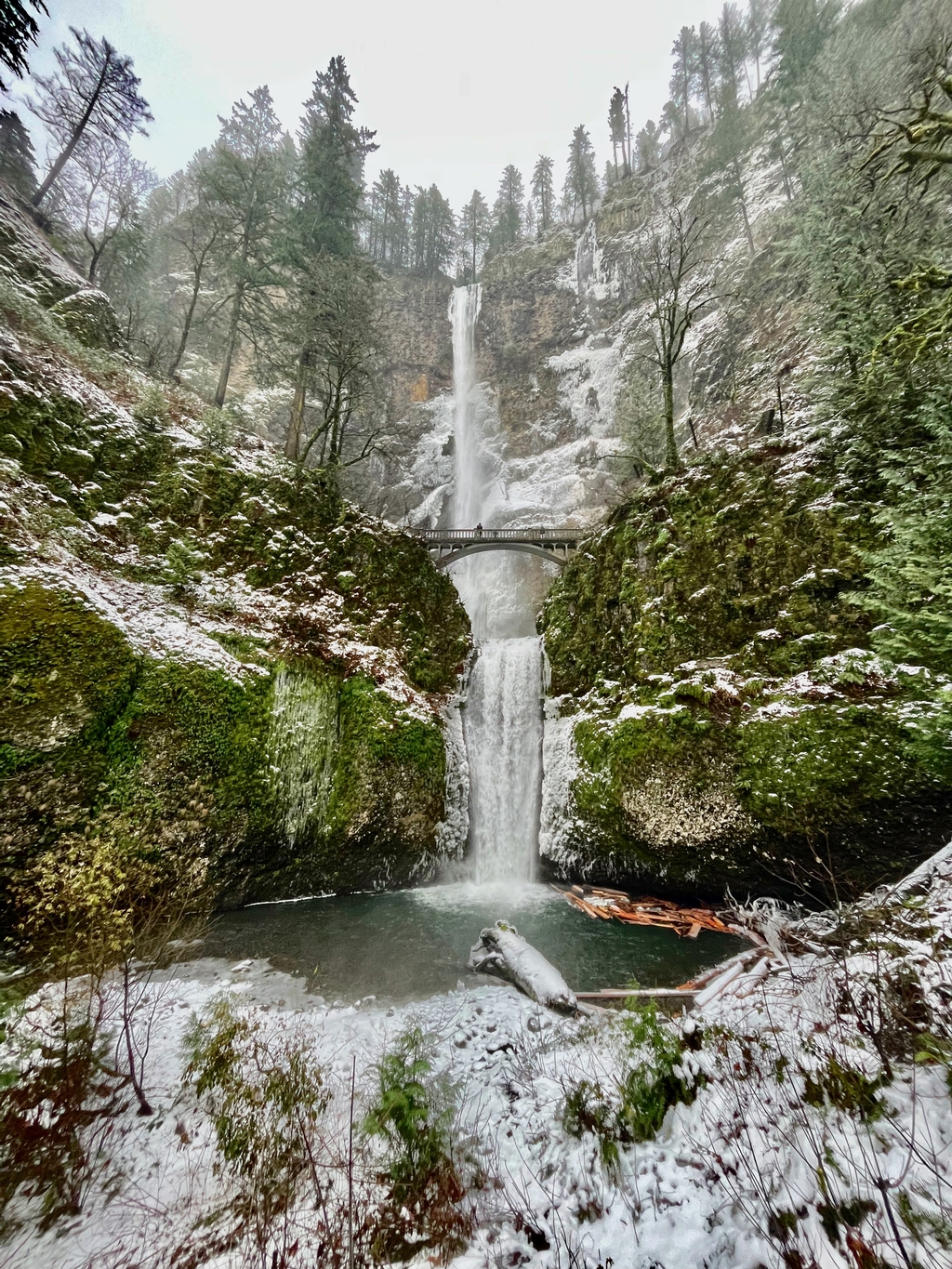 Stellar South Oregon. MemExp Blog. Rohan Goel