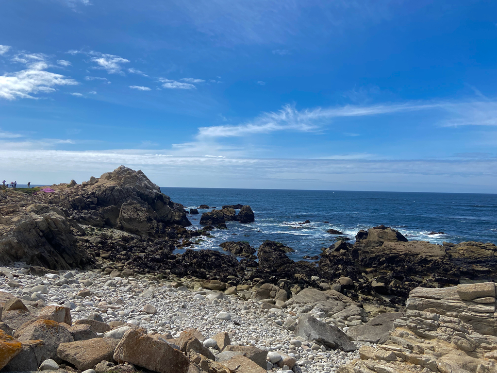 PCH Big Sur. MemExp Blog. Rohan Goel