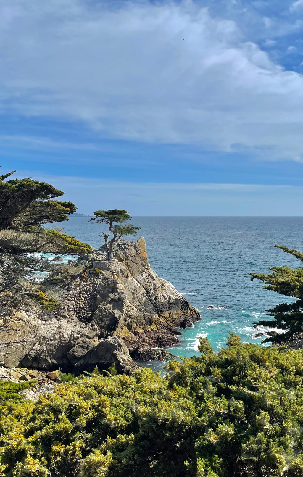 PCH Big Sur. MemExp Blog. Rohan Goel