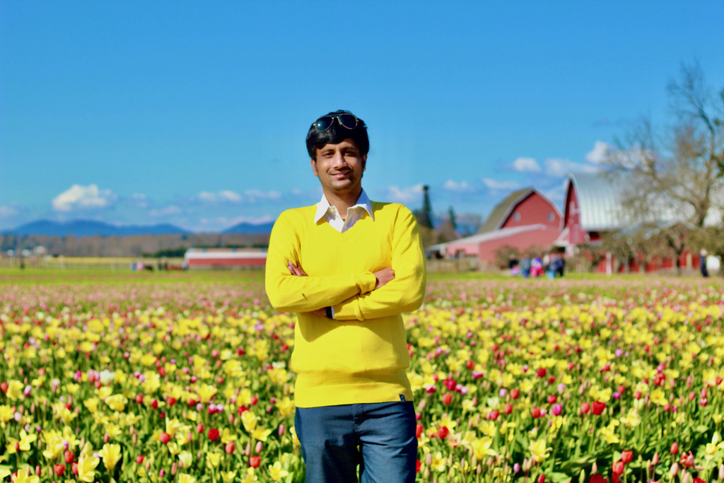 Skagit Tulip Festival. MemExp Blog. Rohan Goel