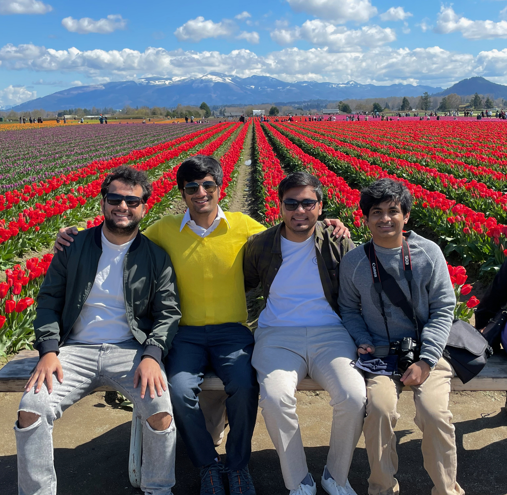 Skagit Tulip Festival. MemExp Blog. Rohan Goel