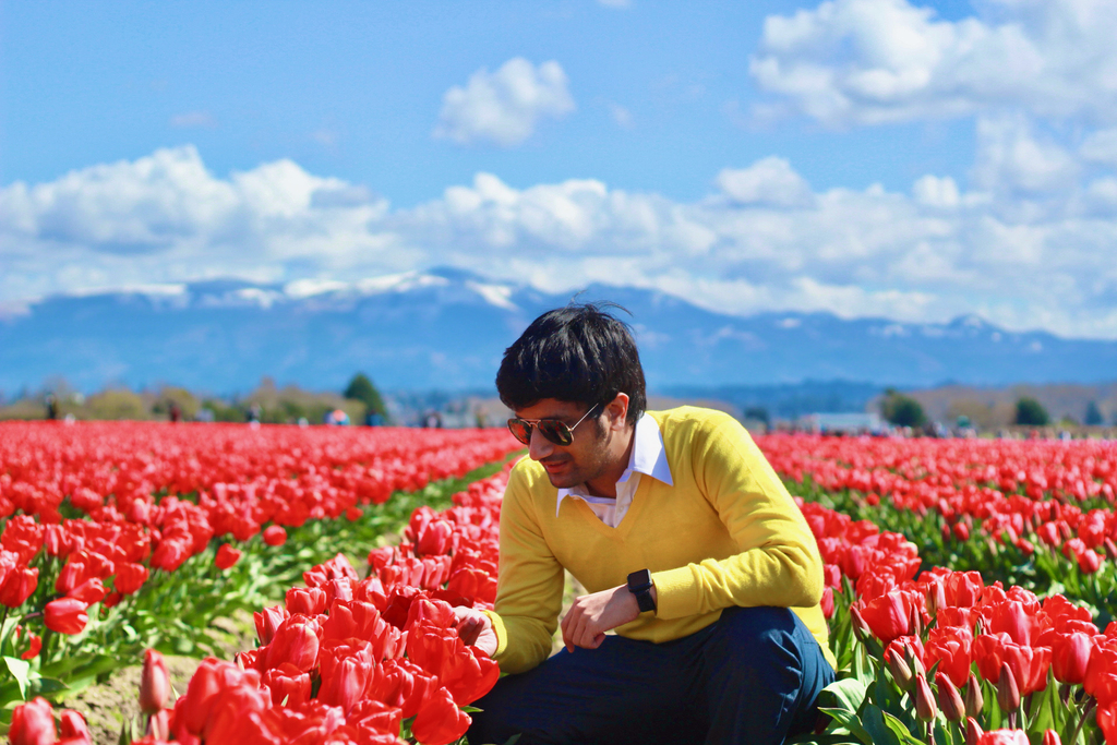 Skagit Tulip Festival. MemExp Blog. Rohan Goel