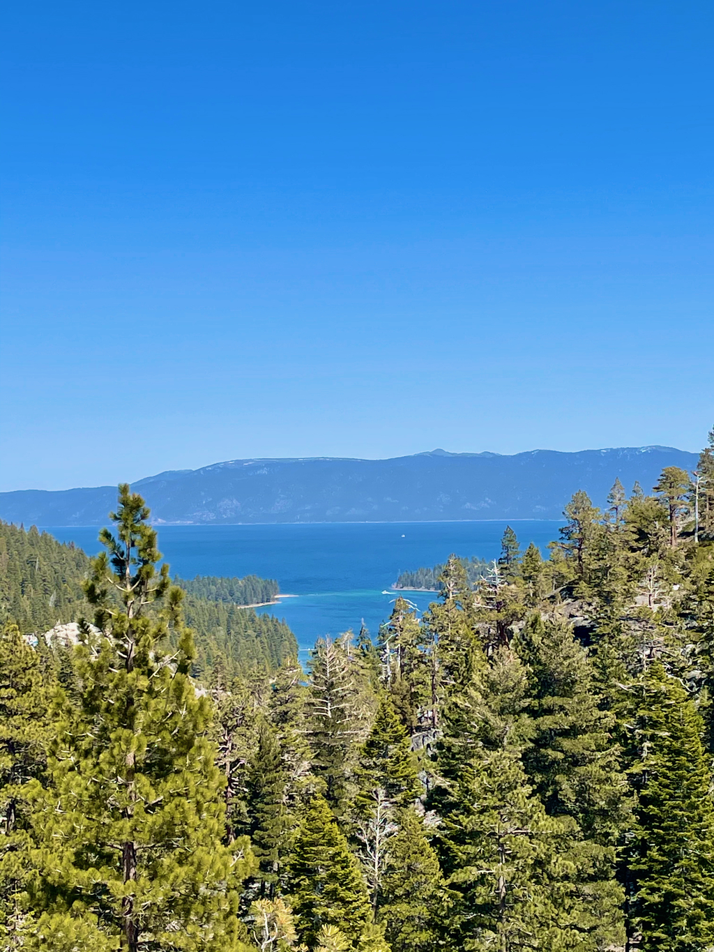 Spectacular Tahoe. MemExp Blog. Rohan Goel