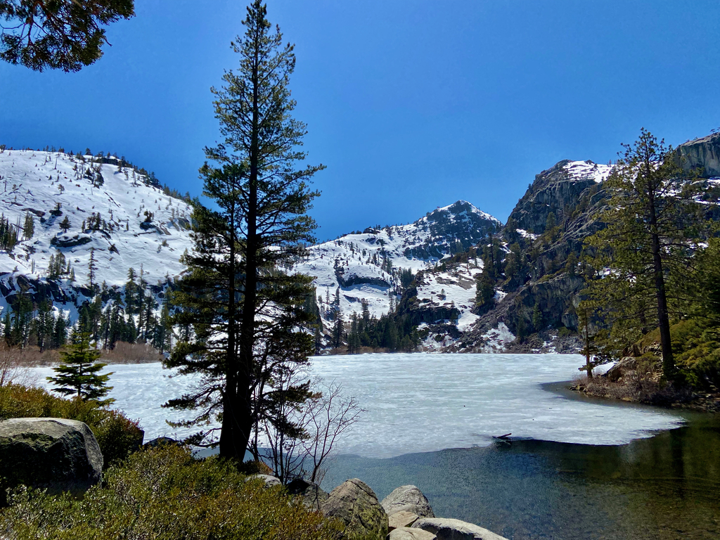 Spectacular Tahoe. MemExp Blog. Rohan Goel