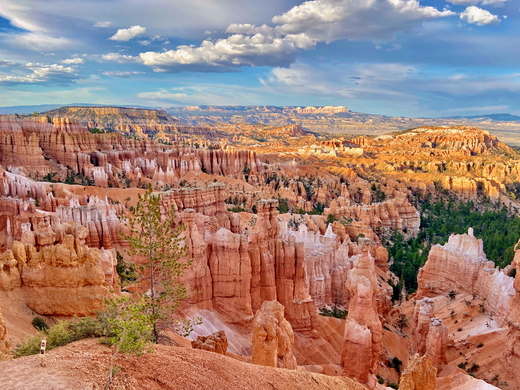 =Bryce Amphitheater. MemExp Blog. Rohan Goel