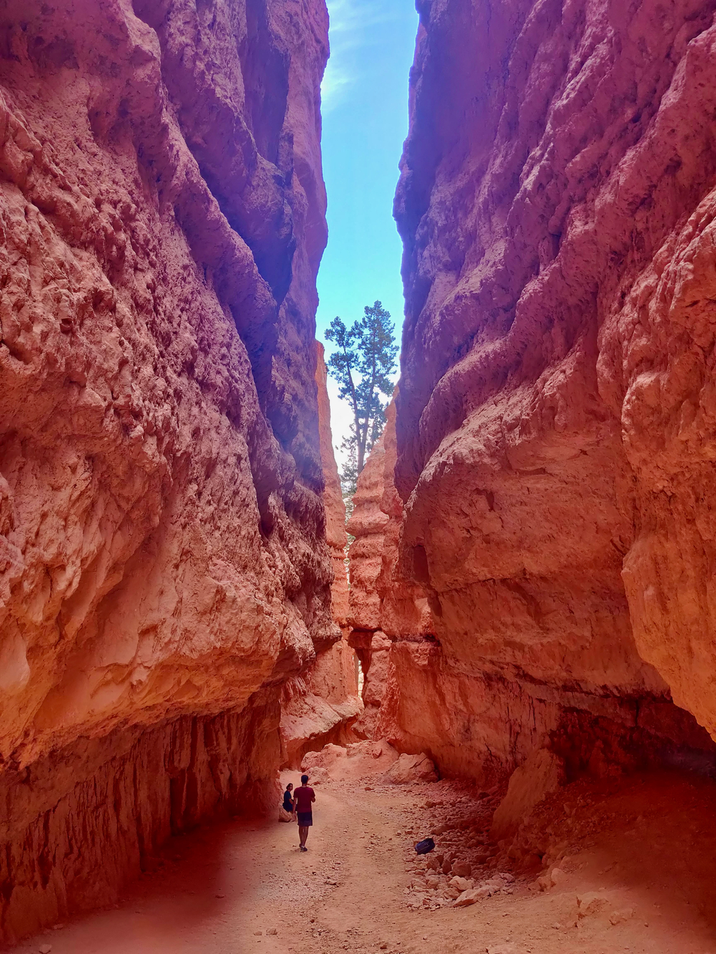 Bryce Amphitheater. MemExp Blog. Rohan Goel